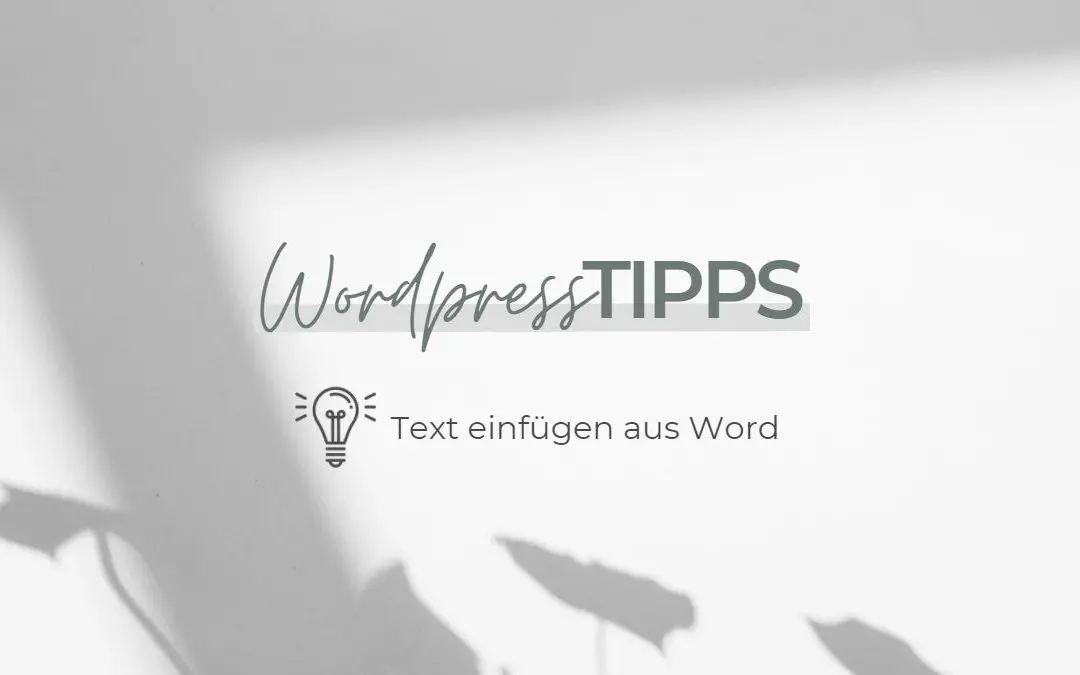 WordPress Tipps Text einfügen aus Word in WordPress