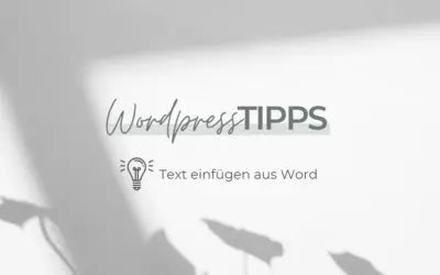 WordPress Tipps Text einfügen aus Word in WordPress