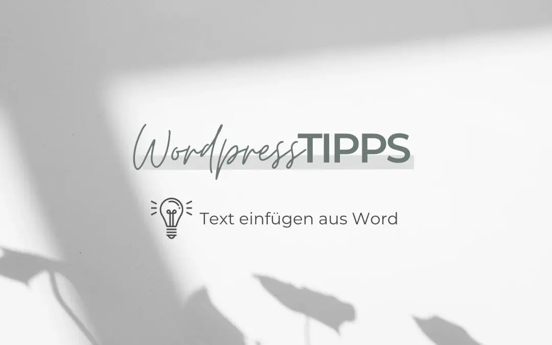 WordPress Tipps: Text einfügen aus Word in Divi